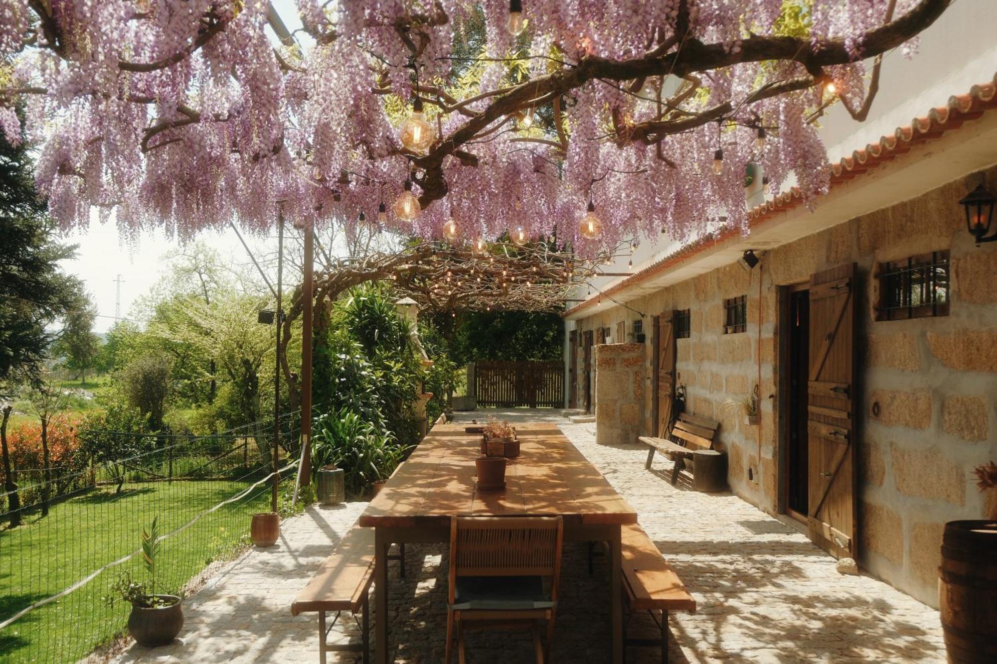 Casa Da Alvarinha Privacidade Conforto Natureza بارديس المظهر الخارجي الصورة