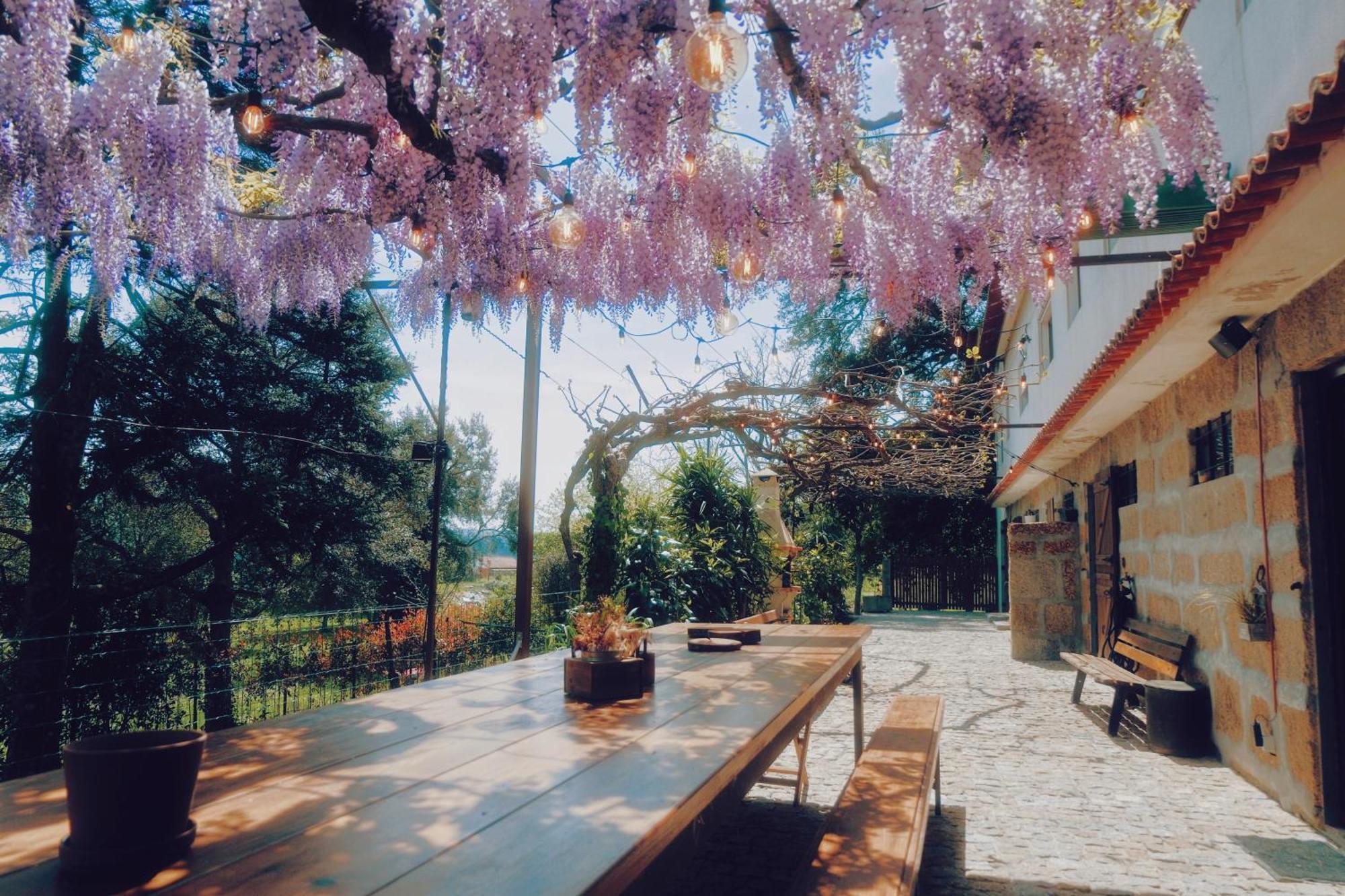 Casa Da Alvarinha Privacidade Conforto Natureza بارديس المظهر الخارجي الصورة